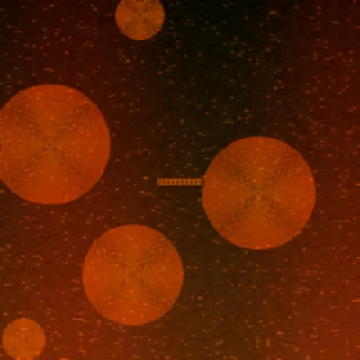 大乐透预测极速赛车火焰轮胎图标